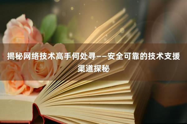 揭秘网络技术高手何处寻——安全可靠的技术支援渠道探秘